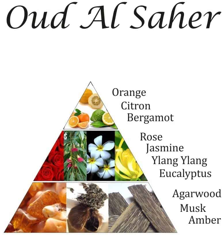 Oudh Al Saher Bakhoor